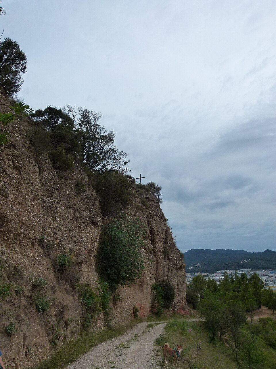 Foto 2 — Castellbisbal, Barcelona (08054)