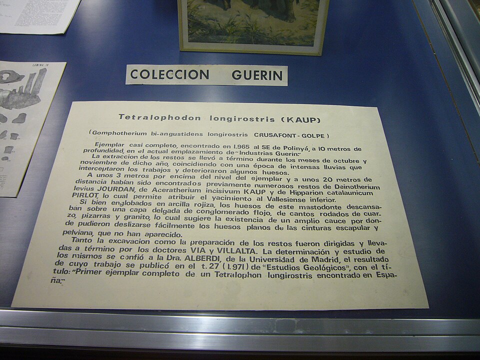 Foto 2 — Polinyà, Barcelona (08167)
