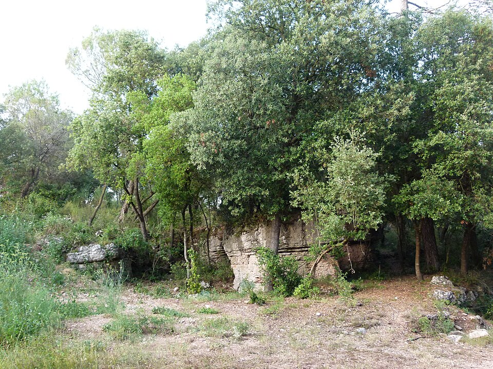 Foto 1 — Sant Martí de Centelles, Barcelona (08224)