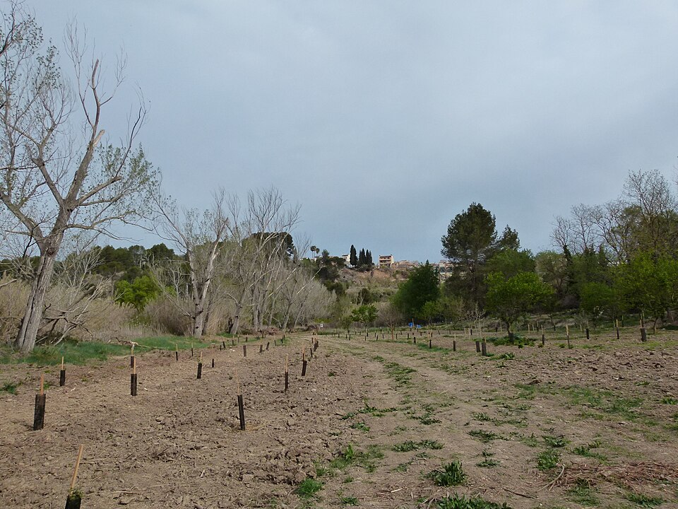 Foto 1 — Sant Sadurní d'Anoia, Barcelona (08240)