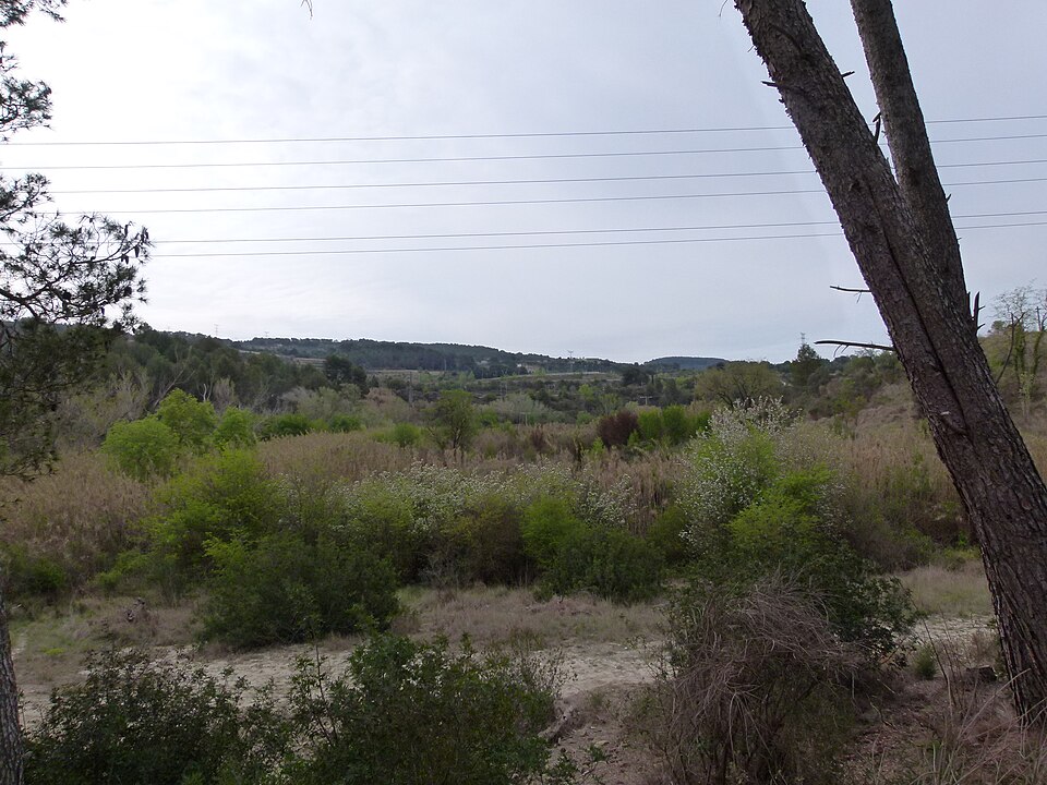 Foto 2 — Sant Sadurní d'Anoia, Barcelona (08240)