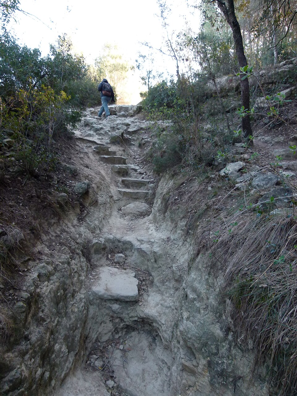 Foto 1 — Sant Vicenç de Castellet, Barcelona (08262)