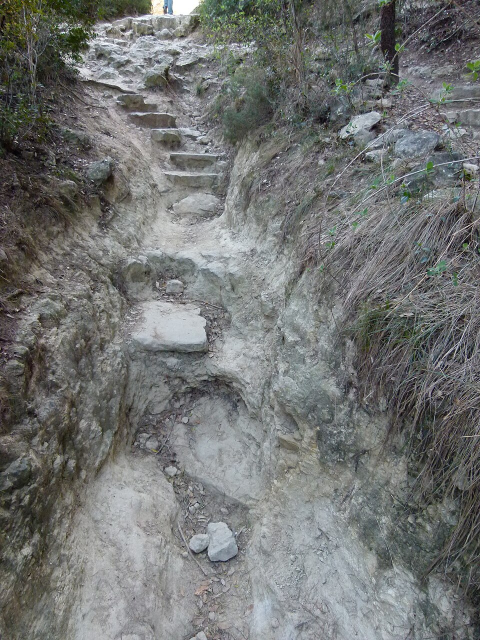 Foto 2 — Sant Vicenç de Castellet, Barcelona (08262)