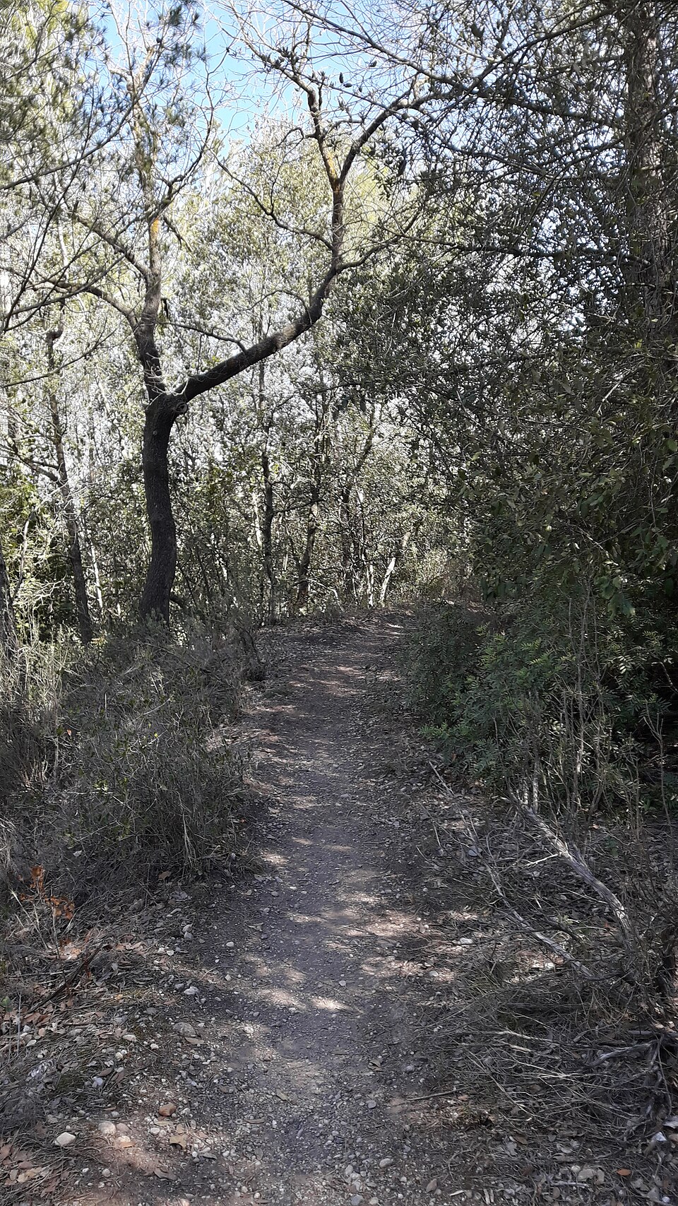 Foto 4 — Sant Vicenç de Castellet, Barcelona (08262)