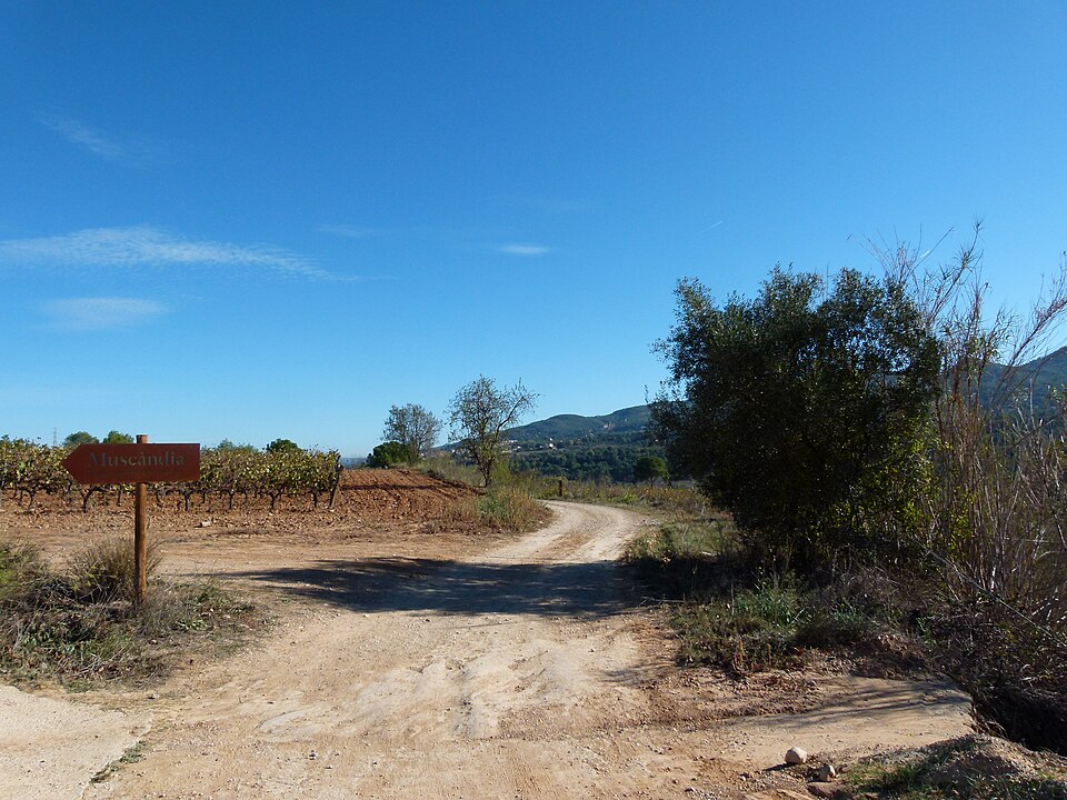 Foto 3 — Subirats, Barcelona (08273)