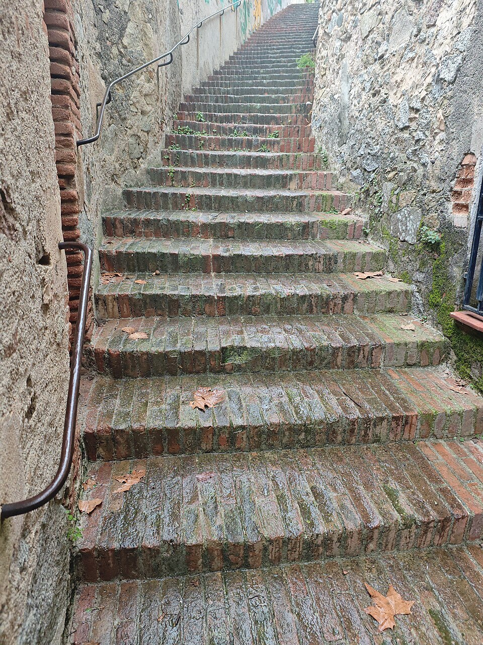 Foto 2 — Teià, Barcelona (08281)