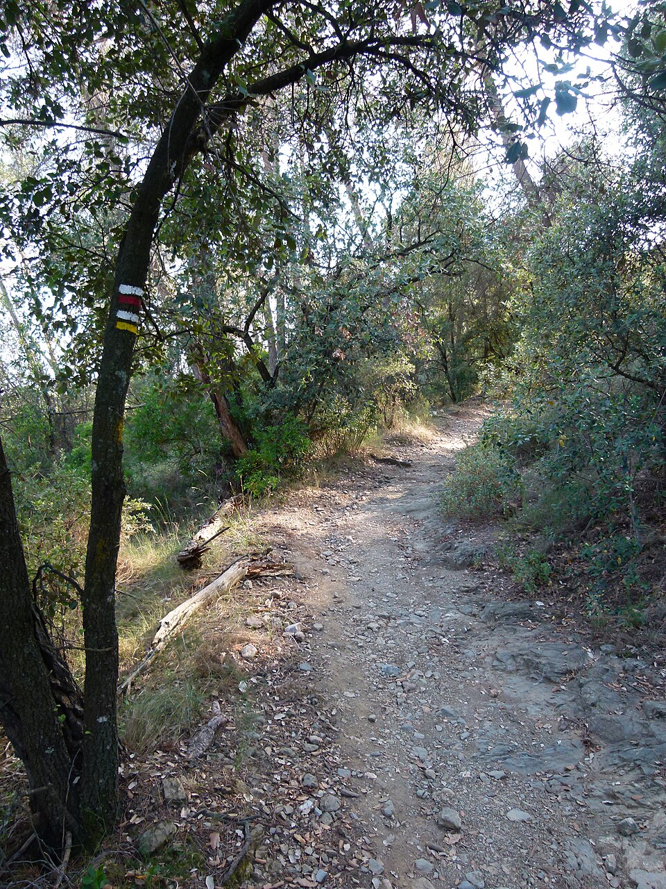 Foto 3 — Viladecavalls, Barcelona (08300)