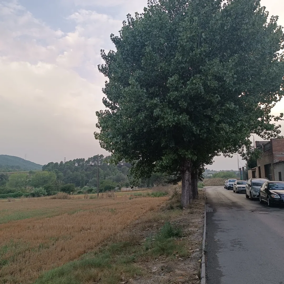 Foto 4 — Vilanova del Camí, Barcelona (08302)