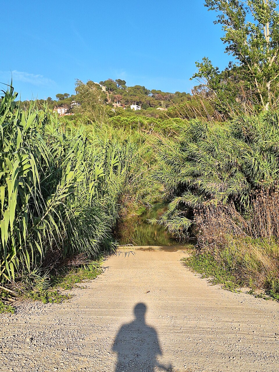 Vista de Vilanova del Vallès, Barcelona (08902)