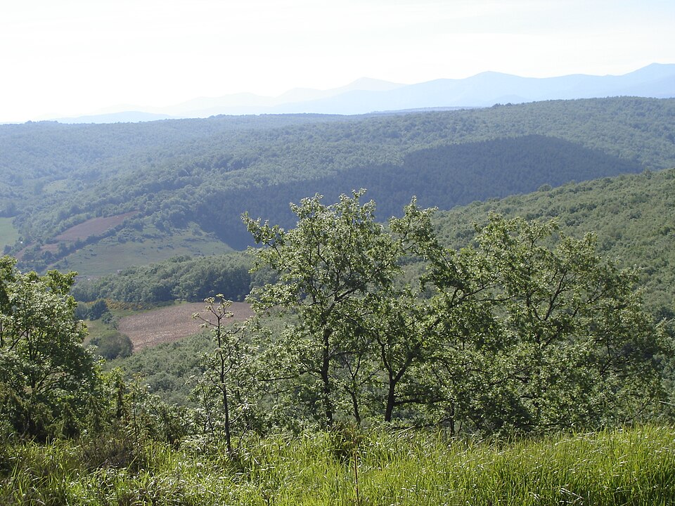 Foto 5 — Belorado, Burgos (09250)