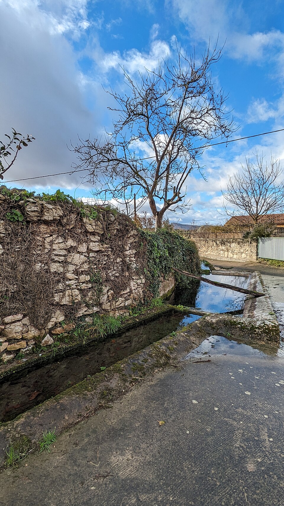 Foto 3 — Condado de Treviño, Burgos (09215)
