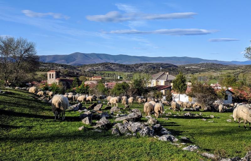 Vista de Hortigüela, Burgos (09640)