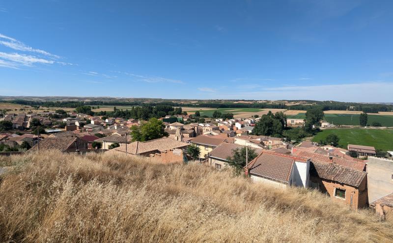 Vista de Hoyales de Roa, Burgos (09316)