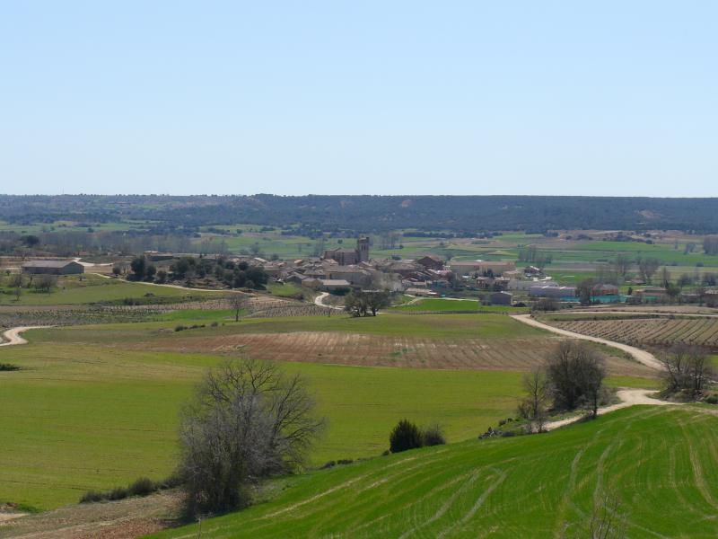 Vista de Quintana del Pidio, Burgos (09443)
