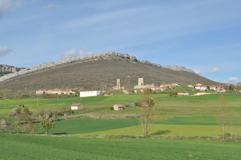 Vista de Rebolledo de la Torre, Burgos (34492)