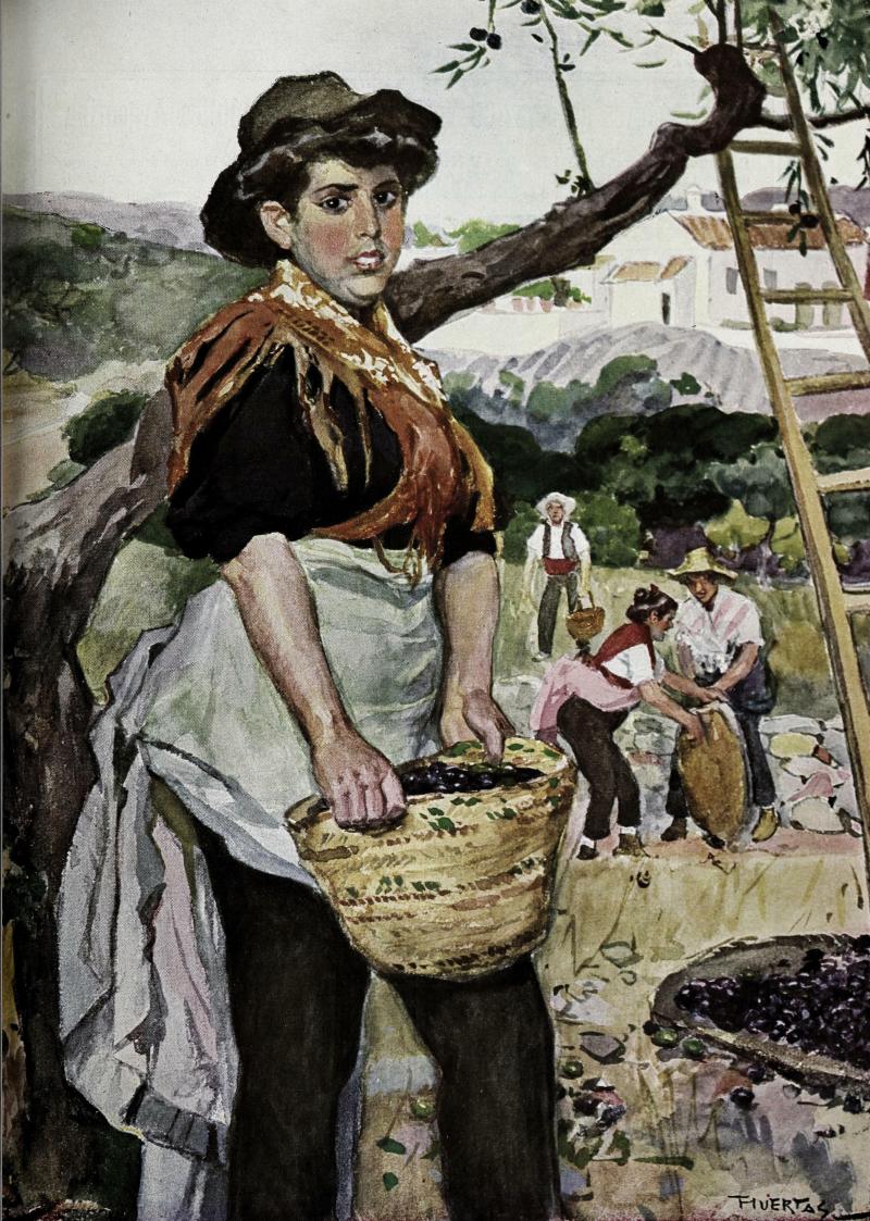 Vista de Aceituna, Cáceres (10666)