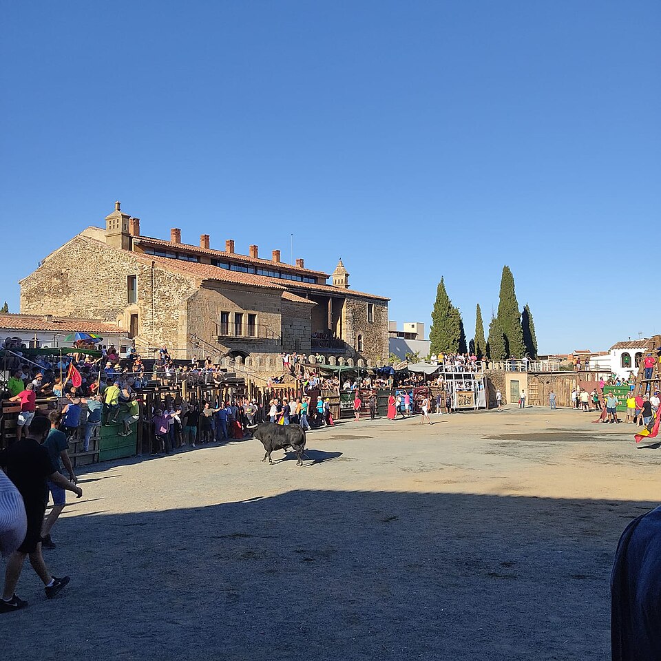 Foto 2 — Garrovillas de Alconétar, Cáceres (10940)