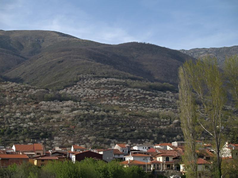 Vista de Jerte, Cáceres (10612)
