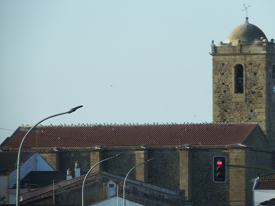 Foto 5 — Madrigalejo, Cáceres (10110)