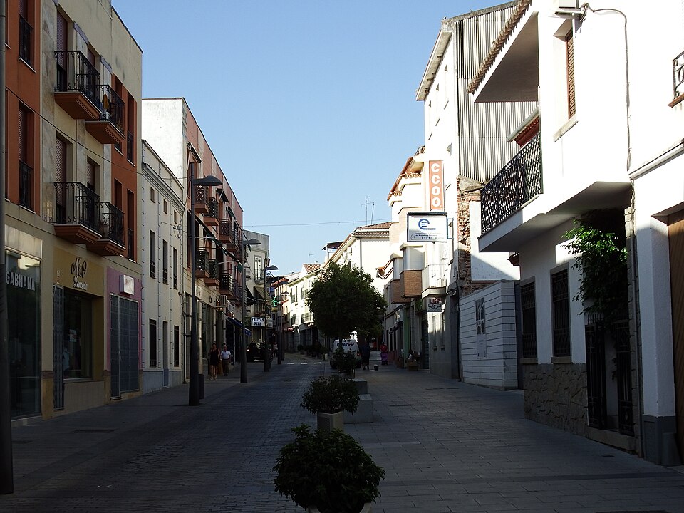 Foto 4 — Miajadas, Cáceres (10100)