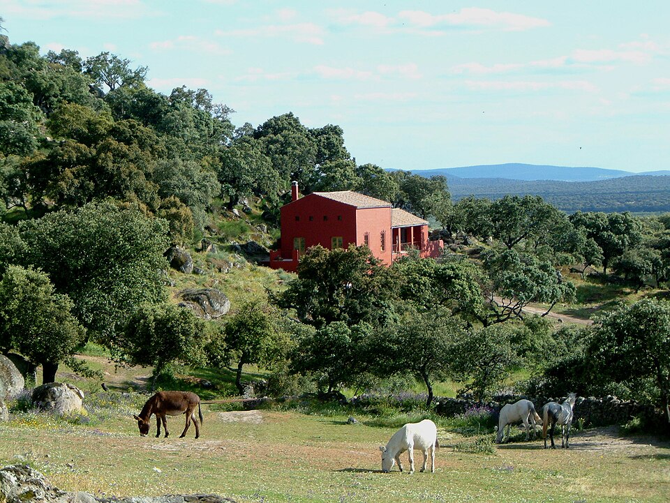 Foto 2 — Montánchez, Cáceres (10170)