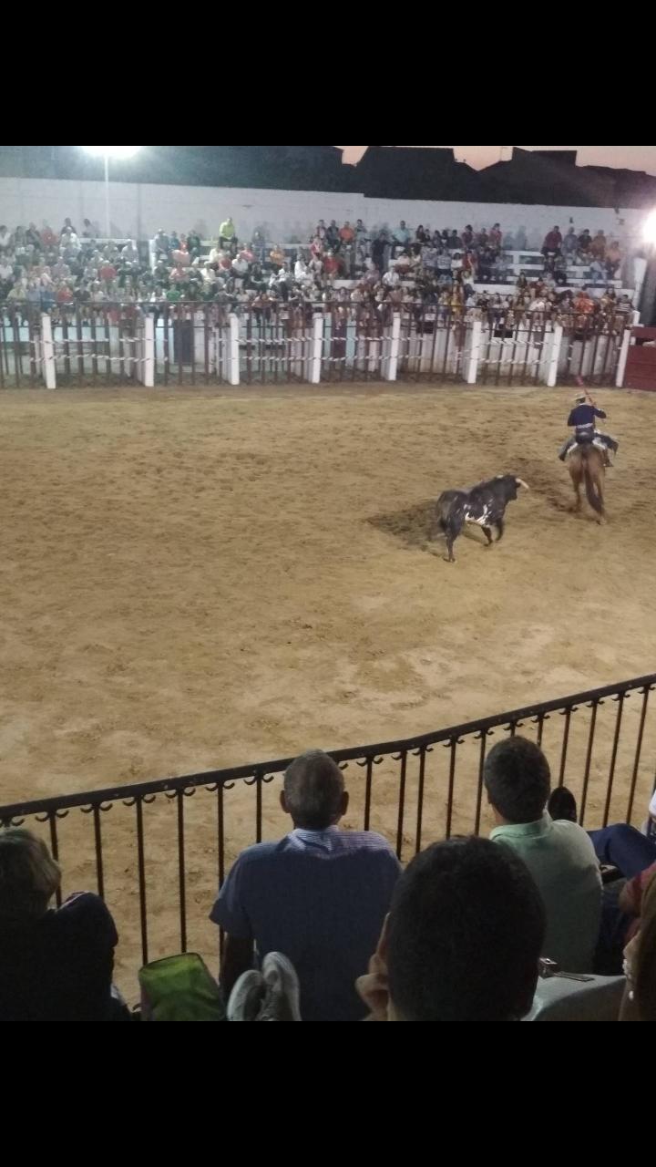 Foto 4 — Montánchez, Cáceres (10170)