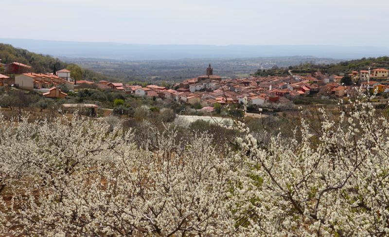 Vista de Pasarón de la Vera, Cáceres (10411)