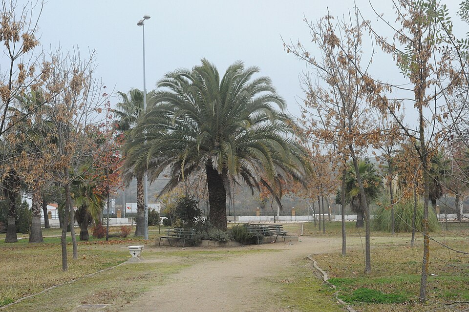Foto 2 — Riolobos, Cáceres (10693)