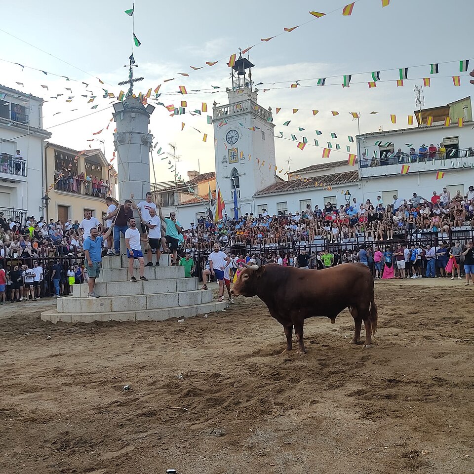 Foto 4 — Serradilla, Cáceres (10530)