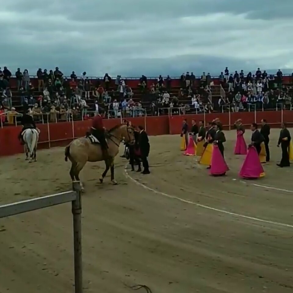 Foto 2 — Talayuela, Cáceres (10310)