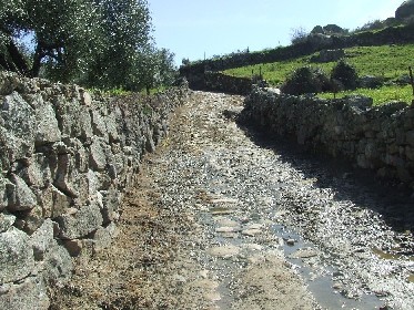 Foto 3 — Zarza la Mayor, Cáceres (10880)