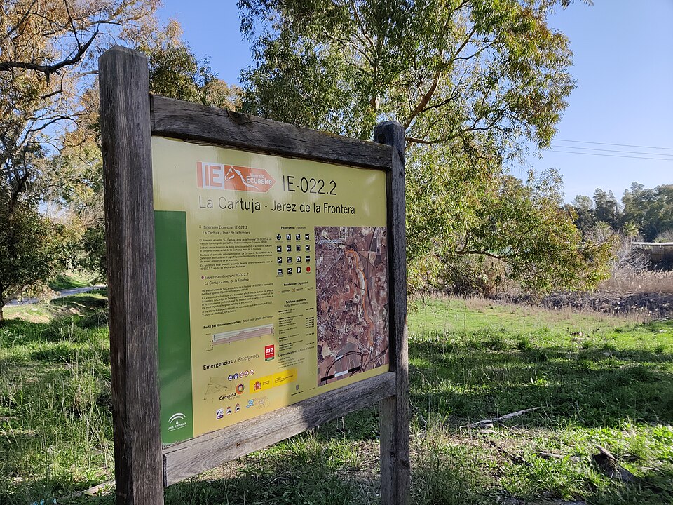 Foto 5 — Jerez de la Frontera, Cádiz (11020)