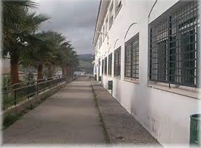Foto 4 — Jimena de la Frontera, Cádiz (11021)