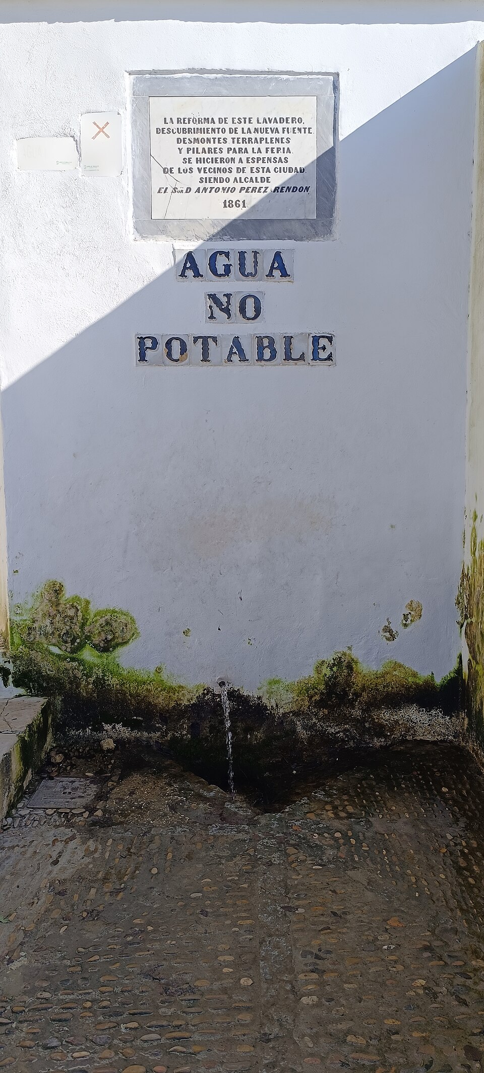 Foto 2 — Medina Sidonia, Cádiz (11170)