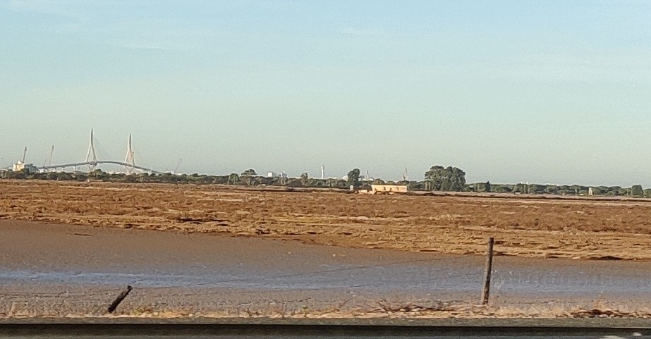 Foto 2 — Puerto Real, Cádiz (11510)