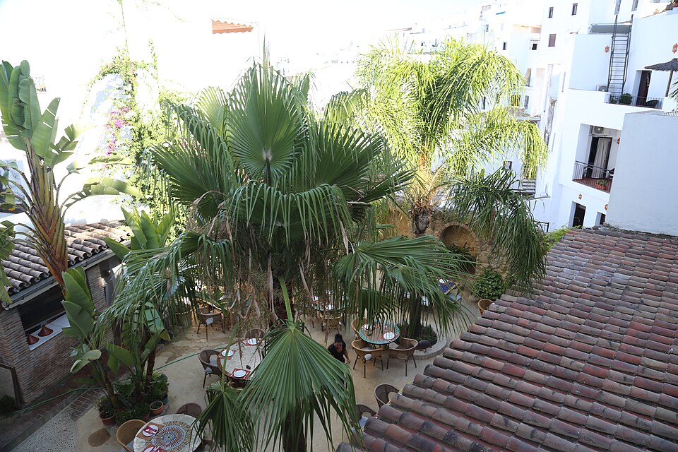 Foto 2 — Vejer de la Frontera, Cádiz (11150)