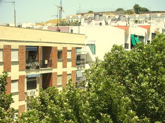 Foto 3 — Villamartín, Cádiz (11650)