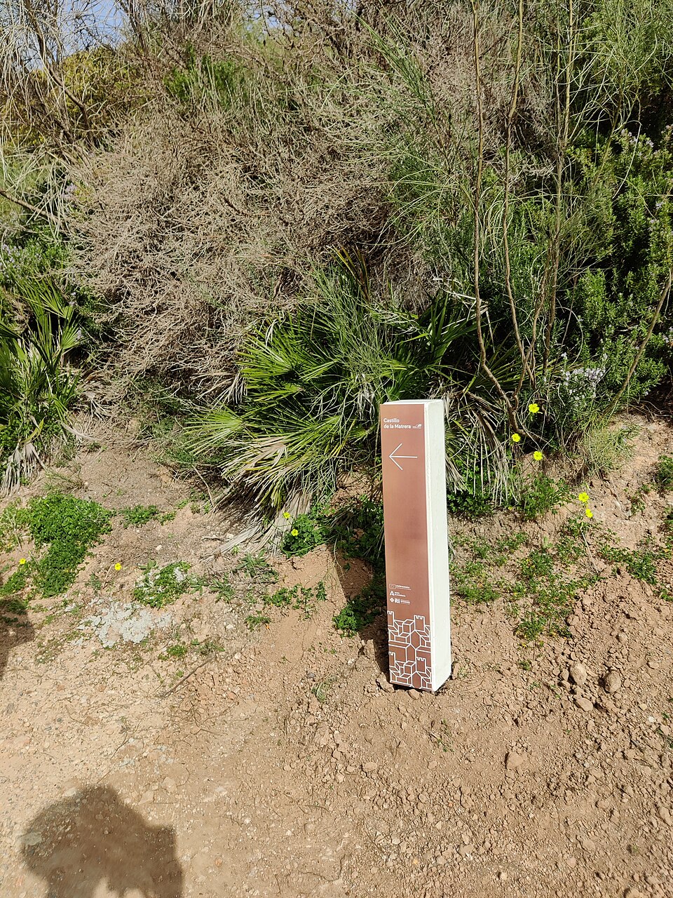 Foto 4 — Villamartín, Cádiz (11650)