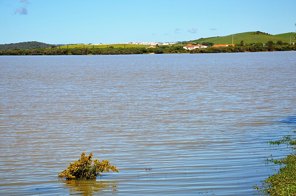 Foto 5 — Benalup-Casas Viejas, Cádiz (11160)