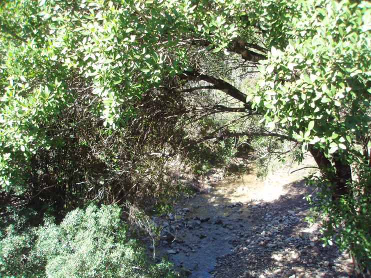Foto 2 — San José del Valle, Cádiz (11580)