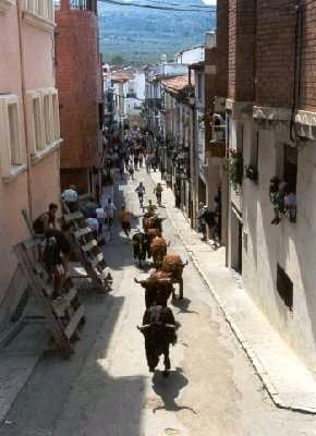 Foto 3 — Albocàsser, Castellón (12140)