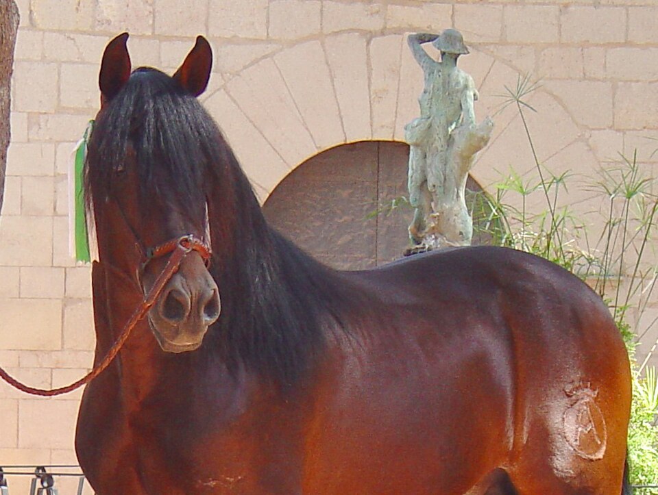 Foto 4 — Vila-real, Castellón (12540)