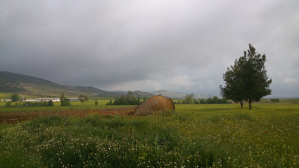 Foto 2 — Aldea del Rey, Ciudad Real (13380)