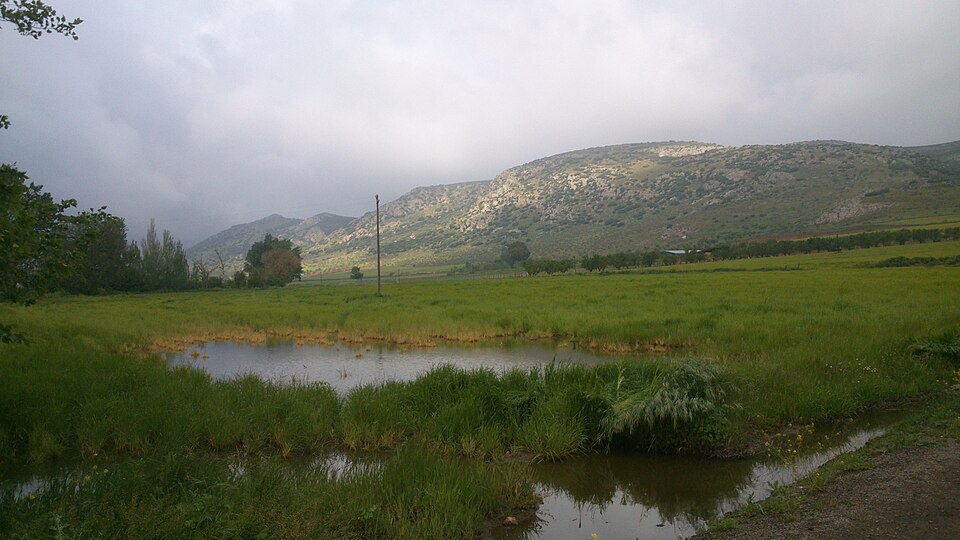 Foto 3 — Aldea del Rey, Ciudad Real (13380)