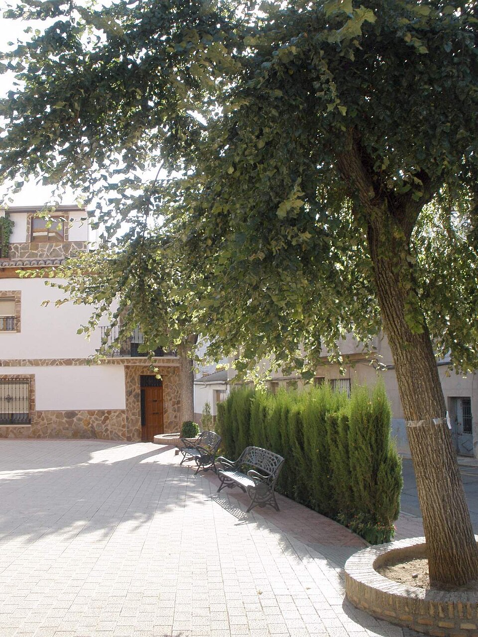 Foto 3 — Argamasilla de Calatrava, Ciudad Real (13440)
