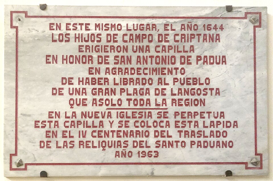 Foto 5 — Campo de Criptana, Ciudad Real (13610)
