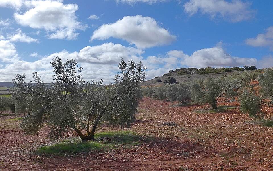 Foto 4 — Carrizosa, Ciudad Real (13329)