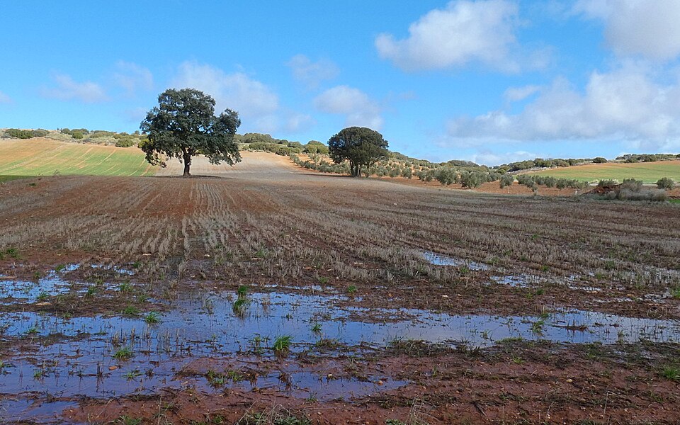 Foto 5 — Carrizosa, Ciudad Real (13329)