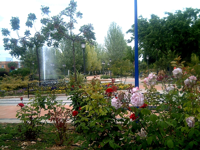 Foto 3 — Miguelturra, Ciudad Real (13170)