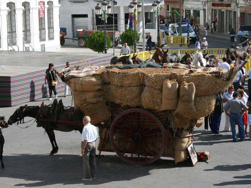 Foto 2 — Tomelloso, Ciudad Real (13700)